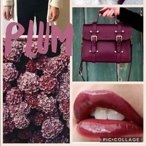 Lipsense plum and glossy gloss by senegence